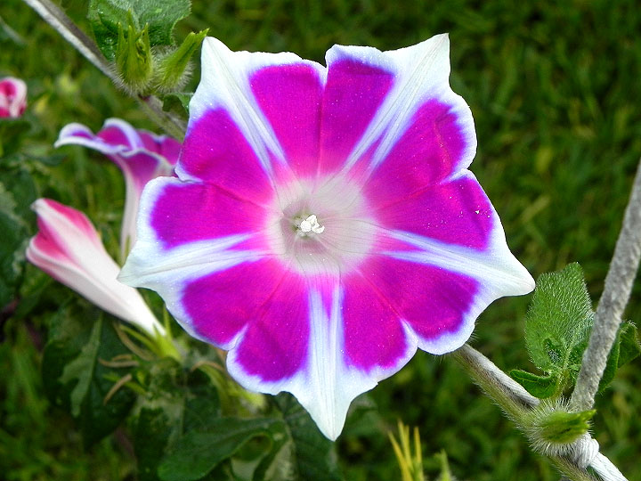 DSCN0368