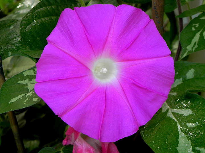 DSCN0394
