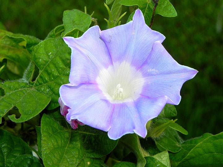 DSCN0429
