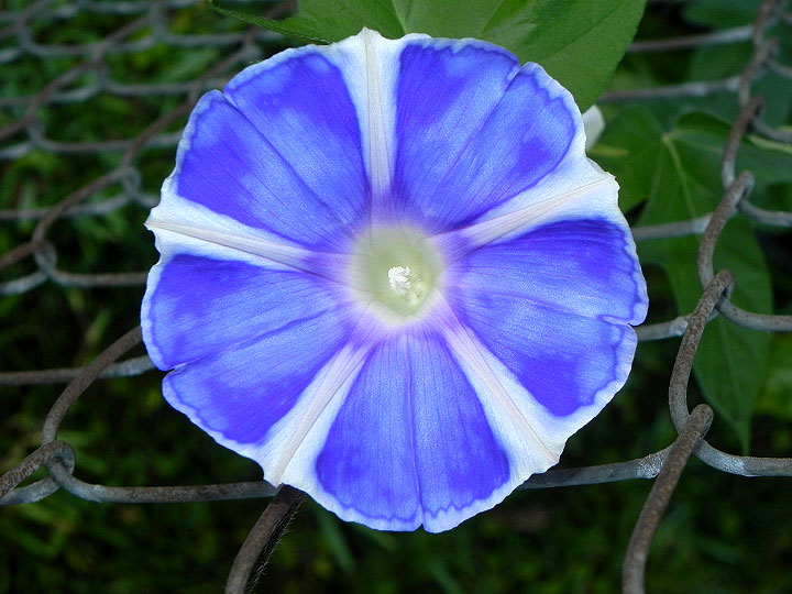 DSCN0443