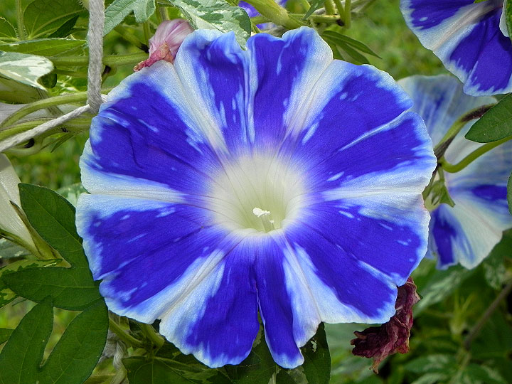 DSCN0496