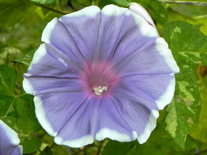 DSCN0545