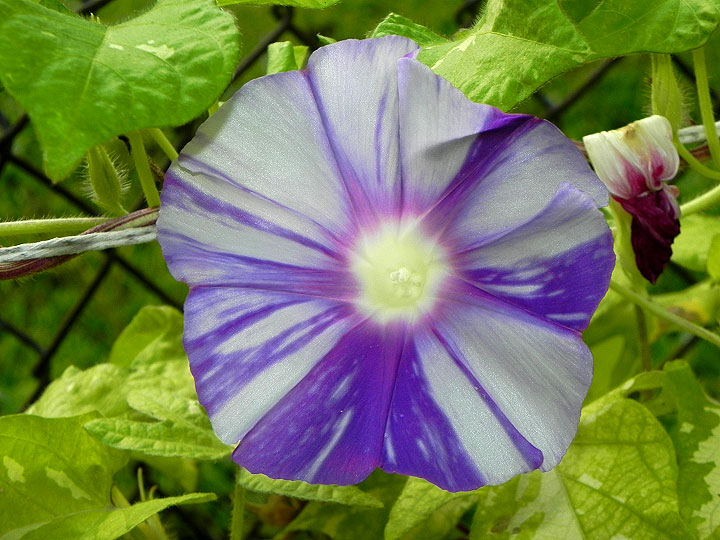 DSCN0549