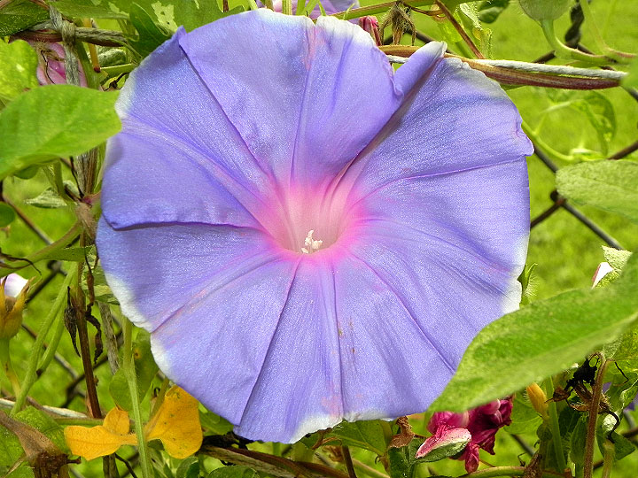 DSCN0657