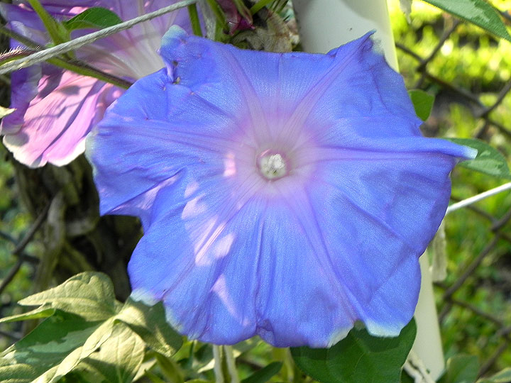 DSCN0679