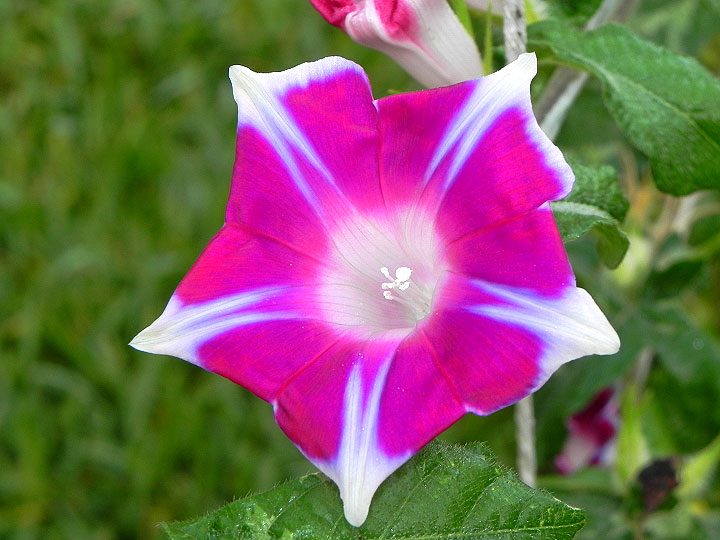 DSCN0717