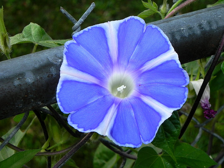 DSCN0727