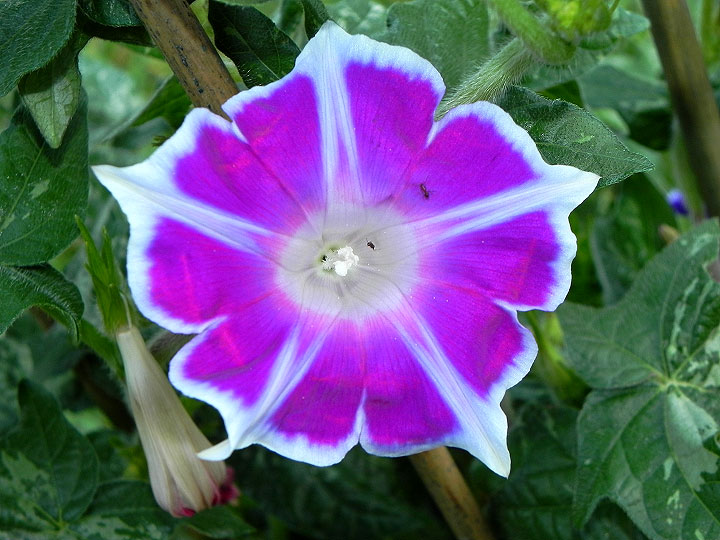 DSCN0744
