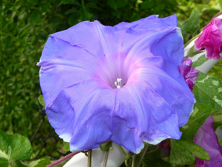 DSCN0849_01