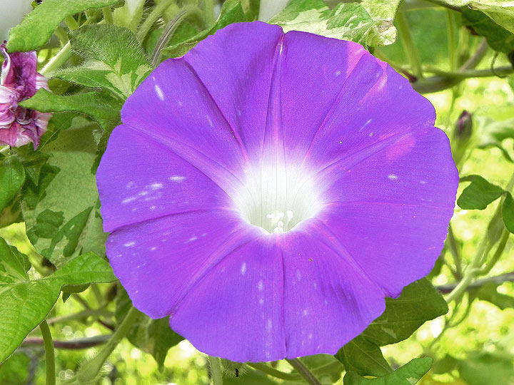DSCN0852_01