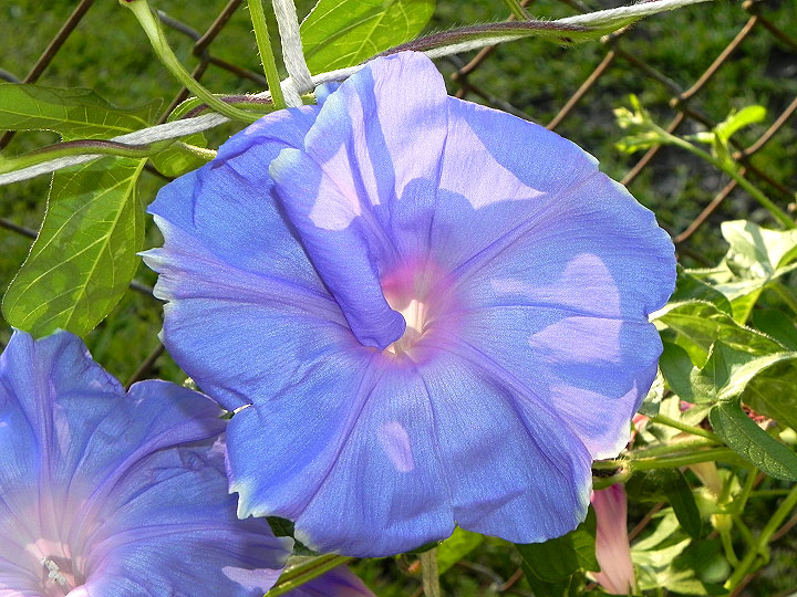 DSCN0912