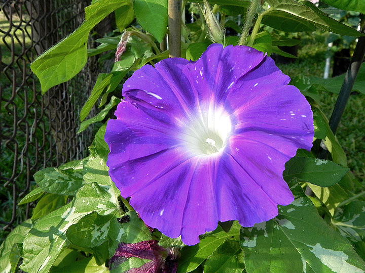 DSCN0916