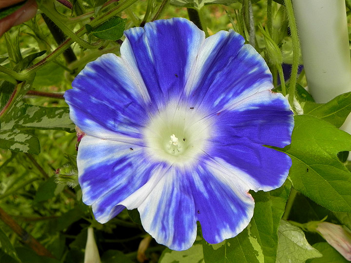DSCN1035