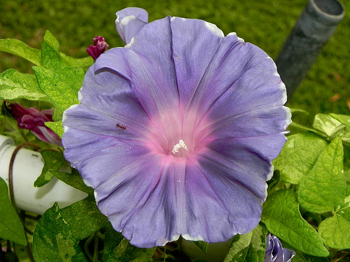 DSCN1051
