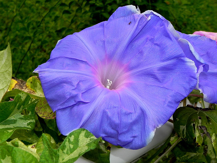 DSCN1053