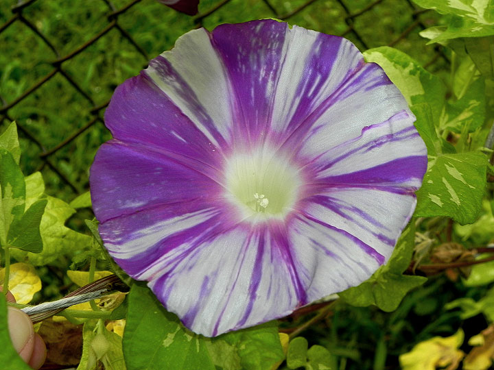 DSCN1054