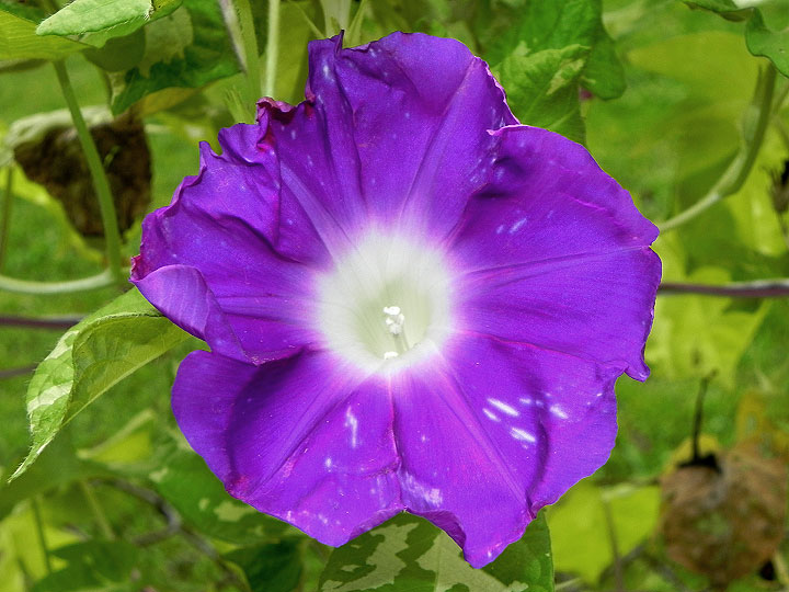 DSCN1055