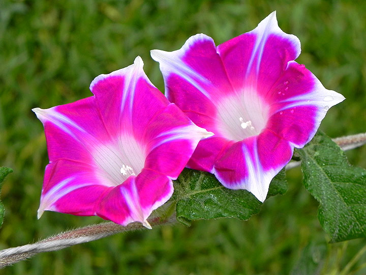 DSCN1101