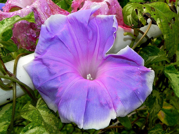 DSCN1215