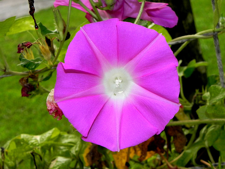 DSCN1216