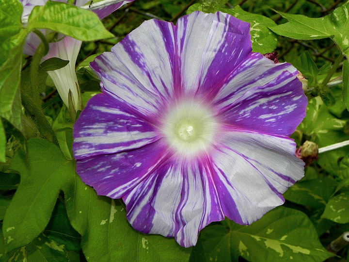 DSCN1231