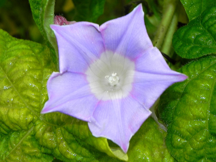 DSCN1262