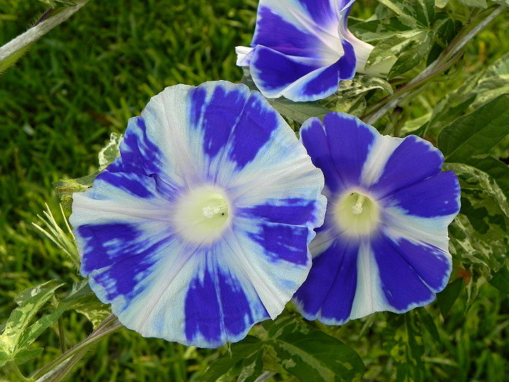 DSCN1347