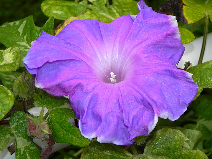 DSCN1376