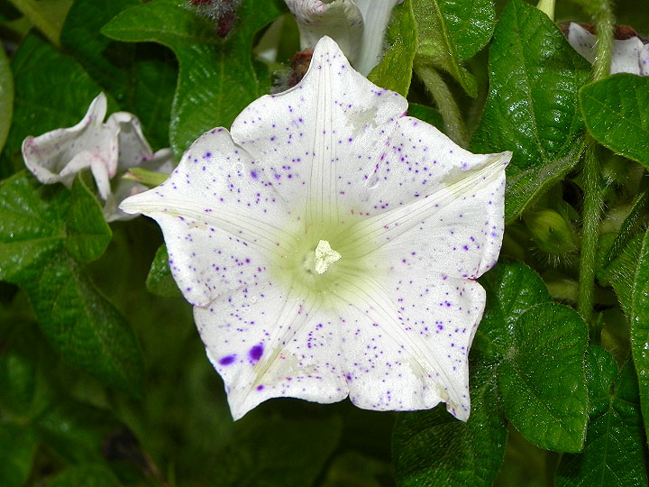 DSCN1449_01