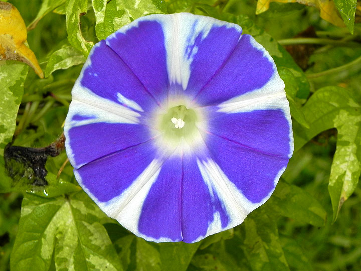 DSCN1470