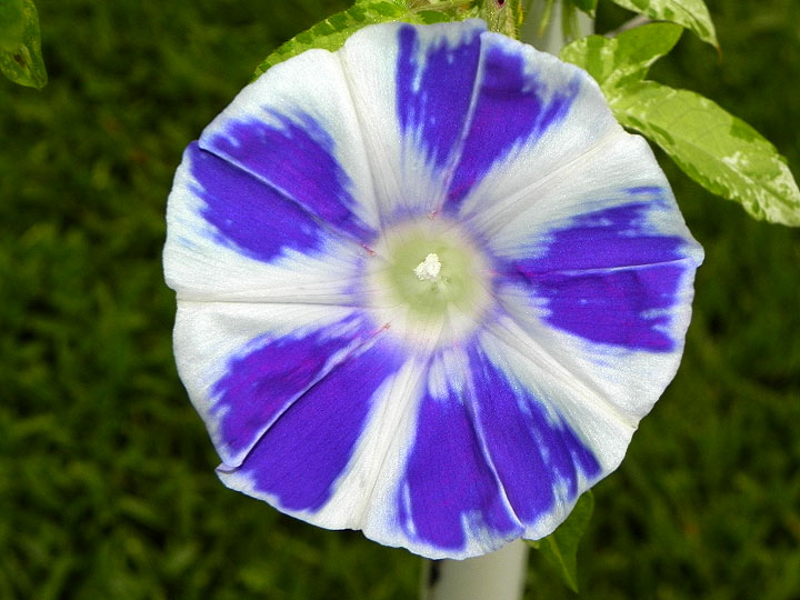 DSCN1473