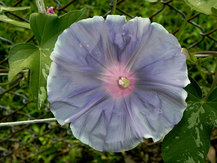 DSCN1503