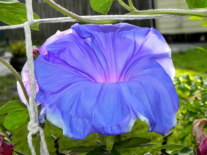 DSCN1507