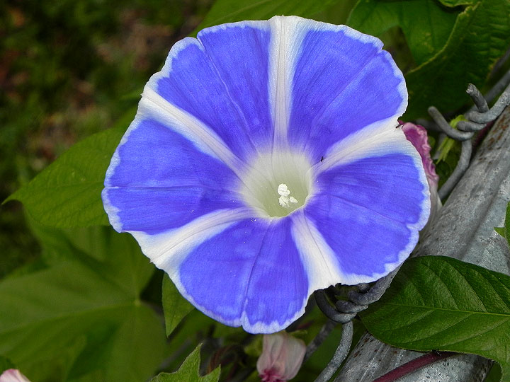DSCN1579
