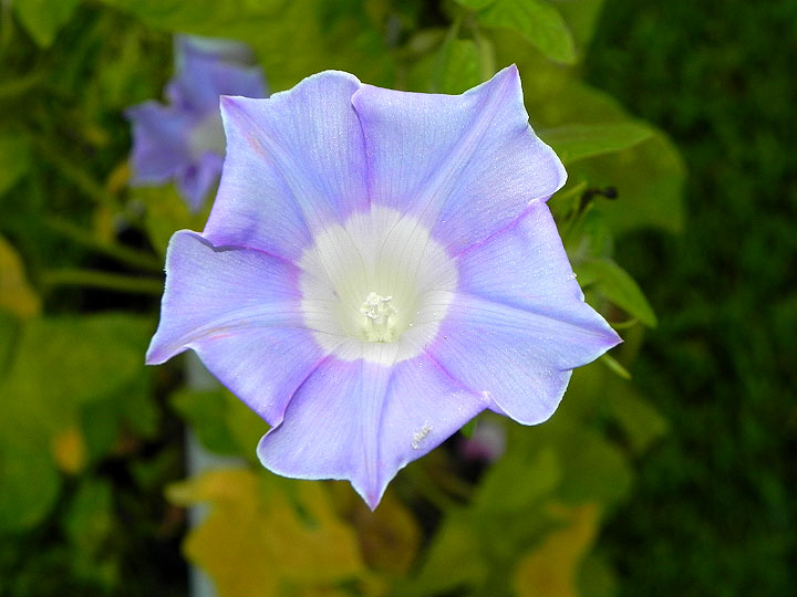 DSCN1594