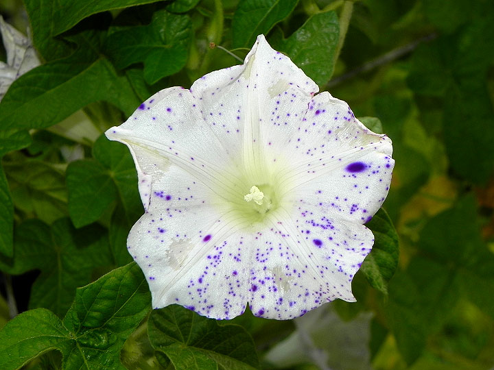 DSCN1616
