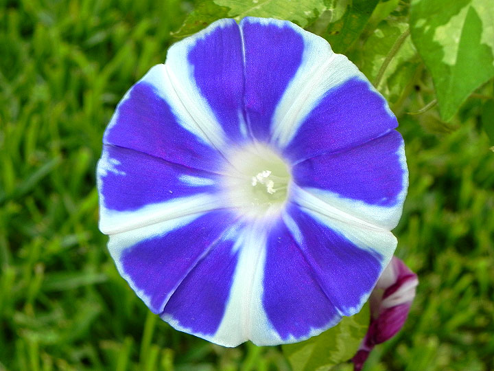 DSCN1632
