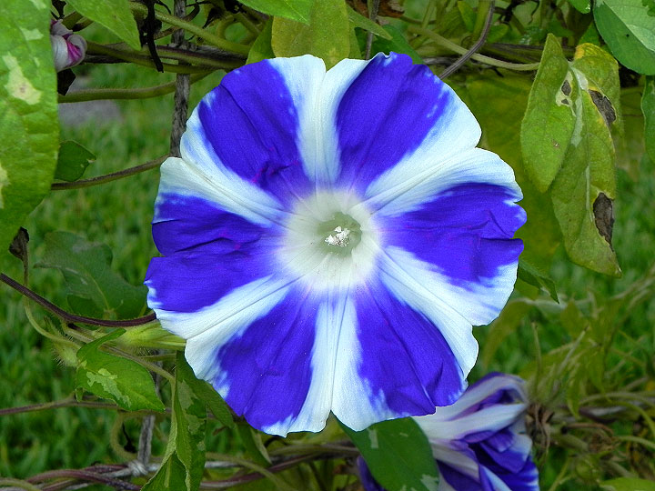 DSCN1793_01