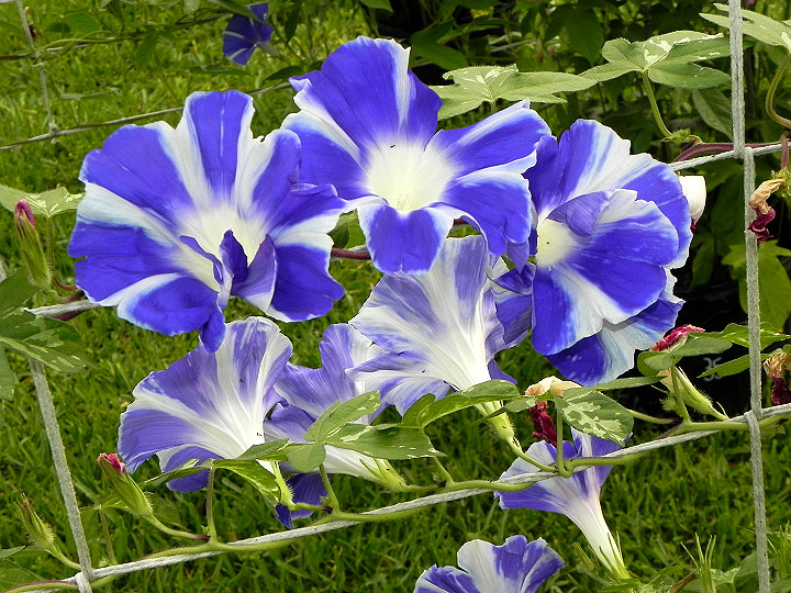 DSCN1903