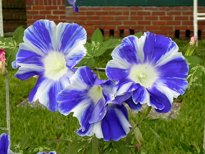 DSCN1904