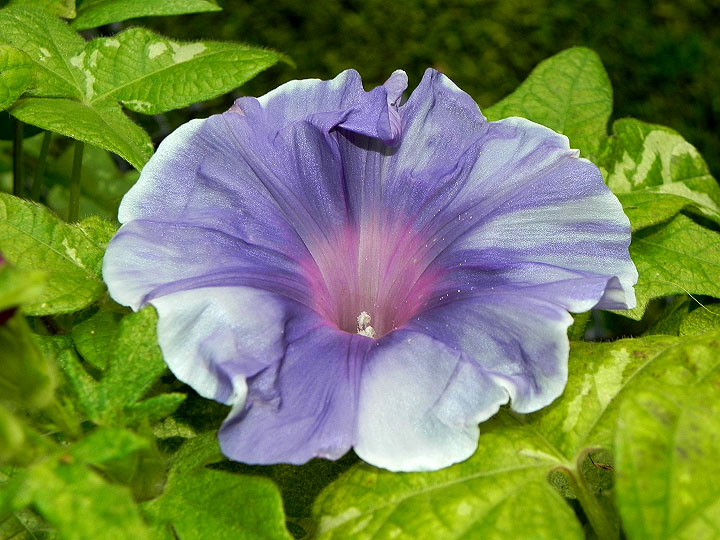 DSCN1912