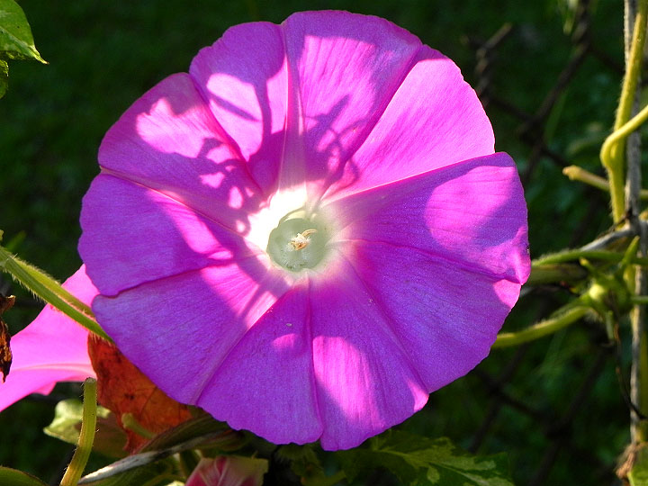 DSCN2113