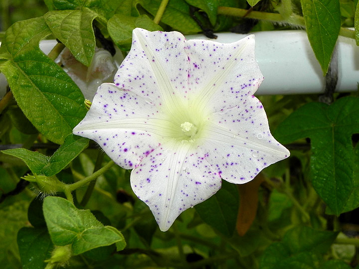 DSCN2156