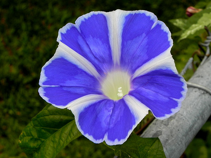 DSCN2158
