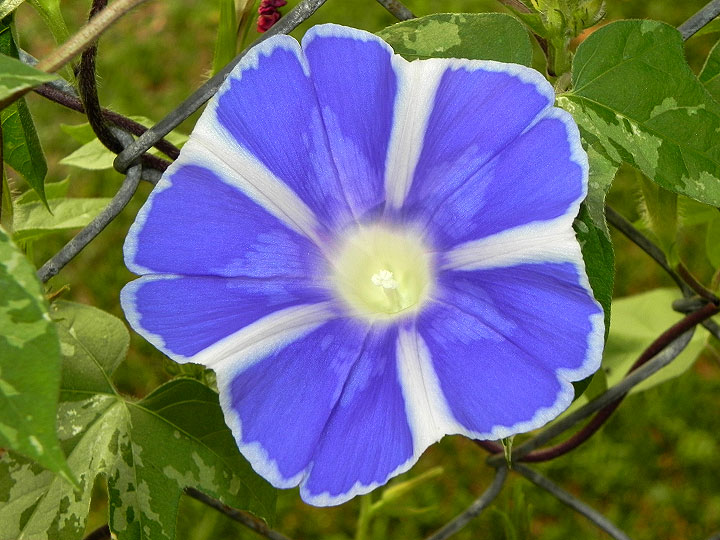 DSCN2161