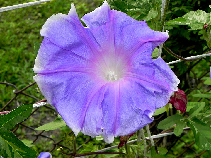 DSCN2473