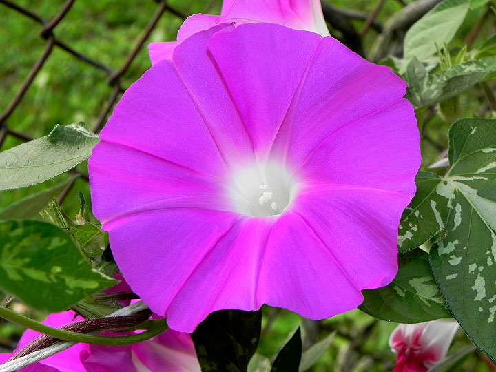 DSCN2477