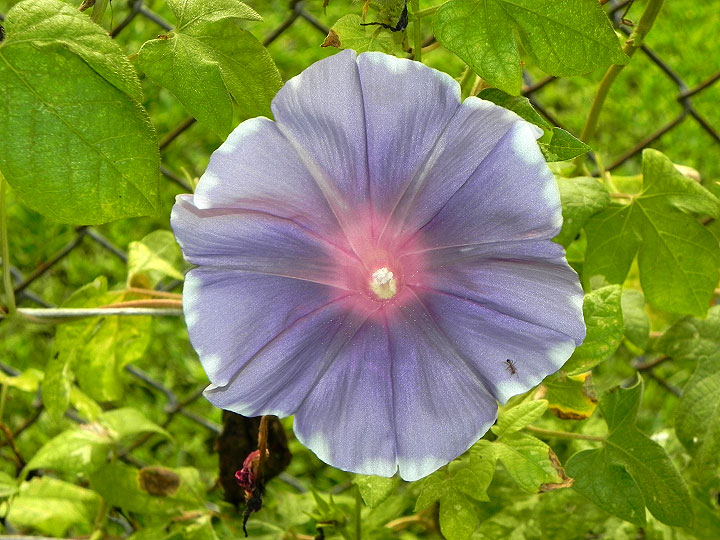 DSCN2540