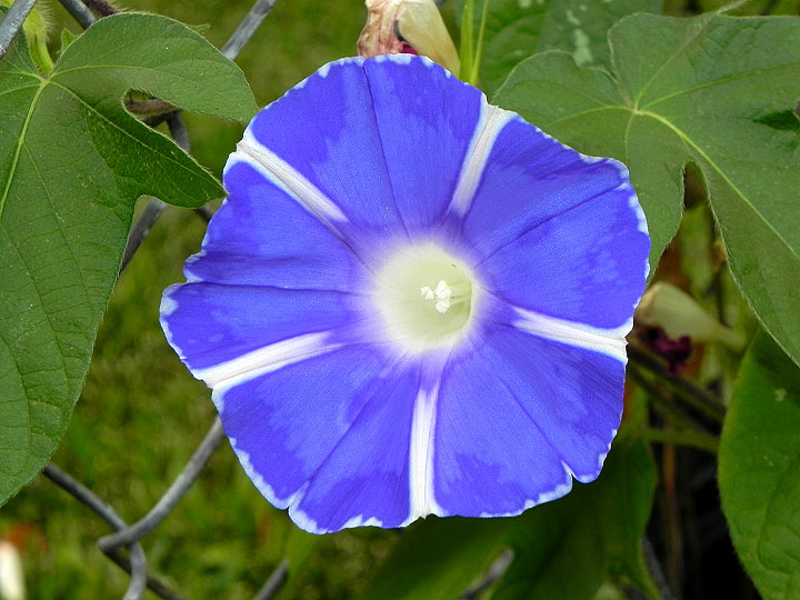 DSCN2563