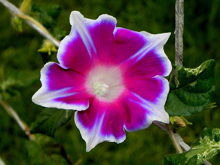 DSCN2576